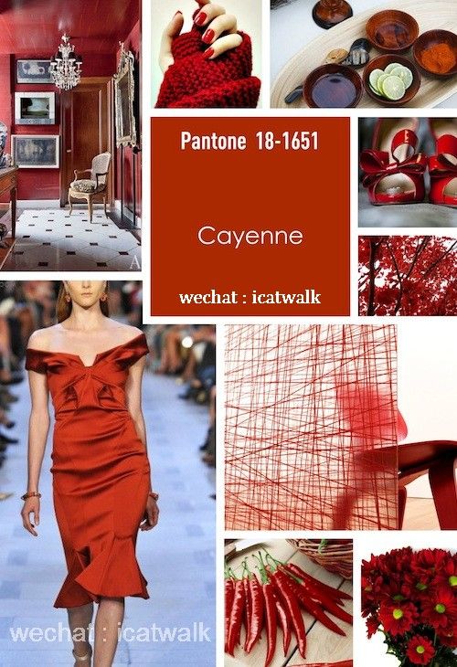 PANTONE14-15ŮbɫAy,VЕrˇgI(y)ӖWУbИI(y)Ӎ