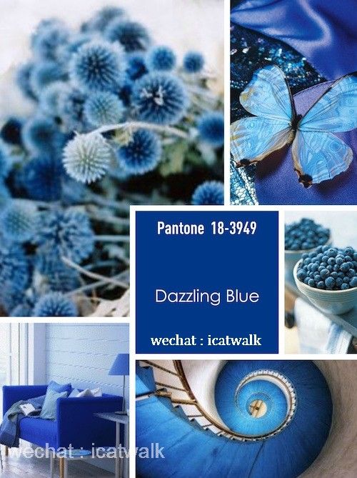 PANTONE14-15ŮbɫAy,VЕrˇgI(y)ӖWУbИI(y)Ӎ