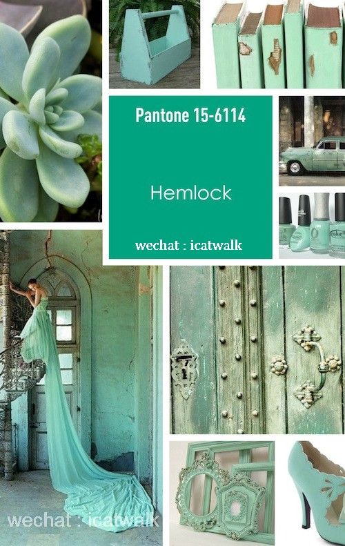 PANTONE14-15ŮbɫAy,VЕrˇgI(y)ӖWУbИI(y)Ӎ