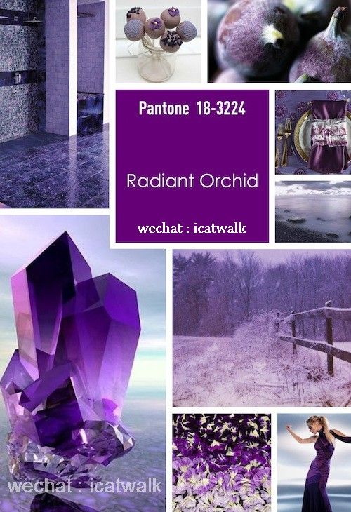 PANTONE14-15ŮbɫAy,VЕrˇgI(y)ӖWУbИI(y)Ӎ